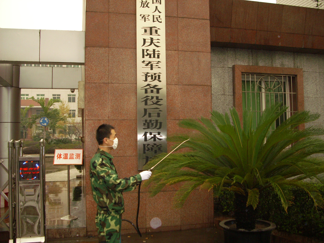 灭蚊虫