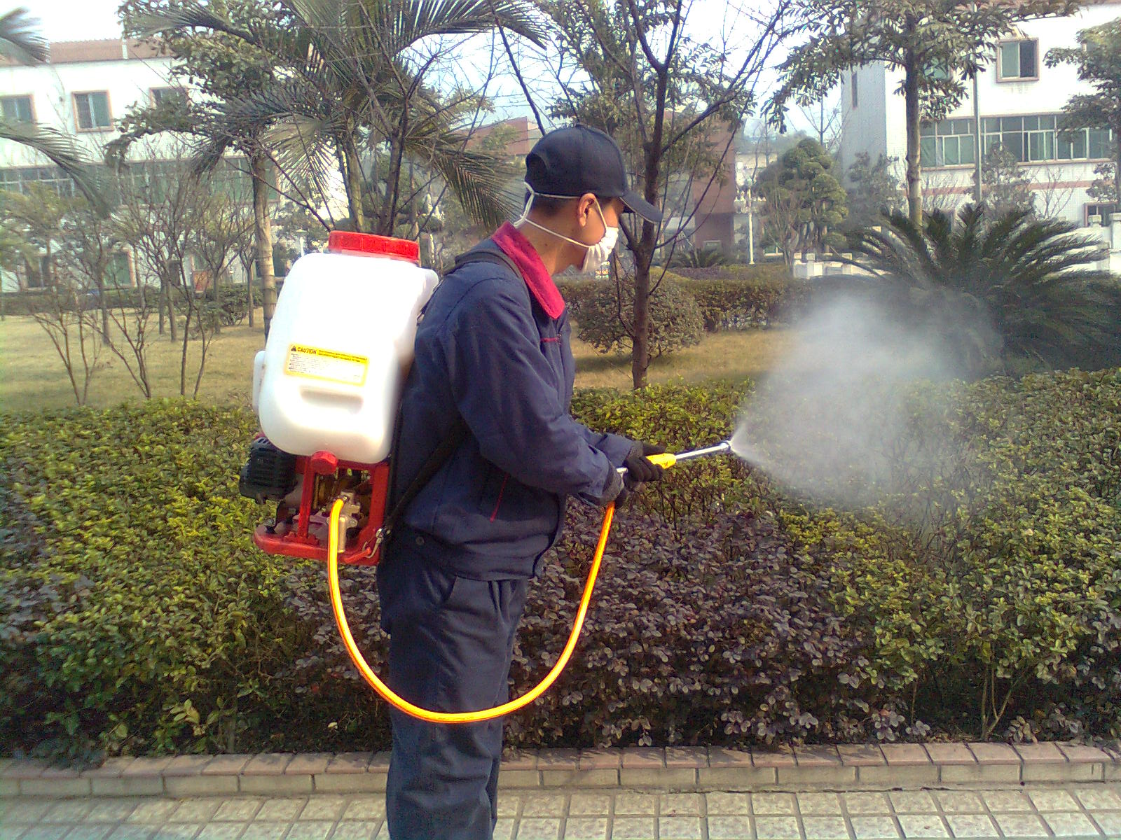 灭蚊虫